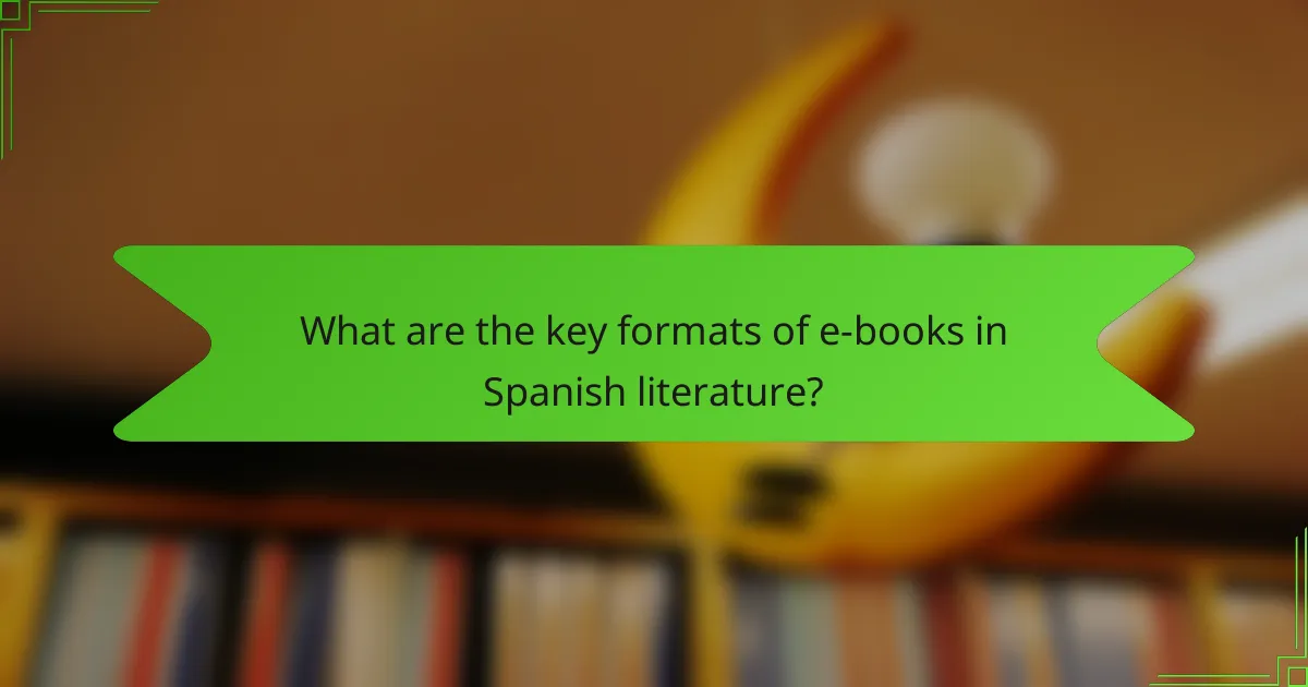 What are the key formats of e-books in Spanish literature?
